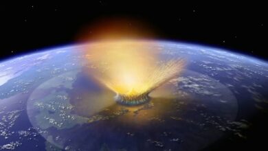 Photo of Asteroide que acabó con los dinosaurios, provocó un gigantesco tsunami global