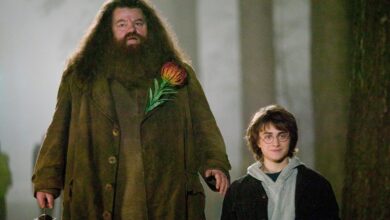 Photo of Muere Robbie Coltrane, actor que dio vida a Hagrid en ‘Harry Potter’