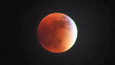 Photo of Luna de cazador, dos lluvias de estrellas y un eclipse solar, te esperan este octubre