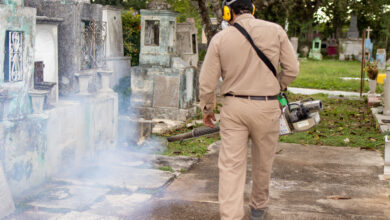 Photo of Fumigan en cementerios para cuidar a visitantes