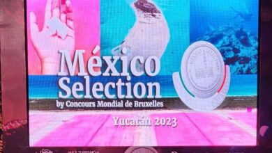 Photo of Yucatán, sede del México Selection by Concours Mondial