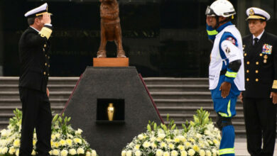 Photo of Con honores dan último a adiós a Frida, la perrita rescatista