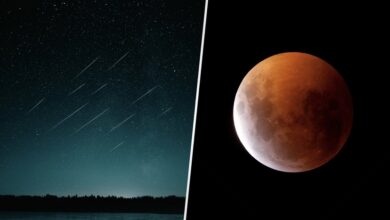 Photo of Noviembre con eclipse total de luna y lluvias de estrellas