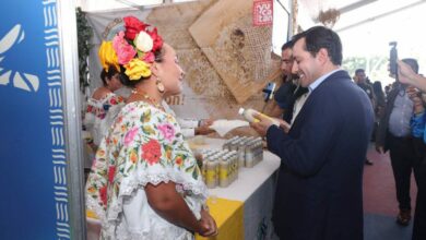 Photo of Yucatán Expone, muestra cultural que llegó para quedarse
