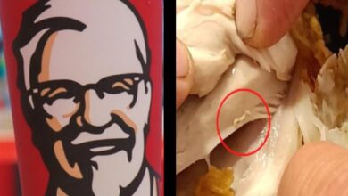 Photo of Familia denuncia que halló gusanos en pollo de ‘KFC’