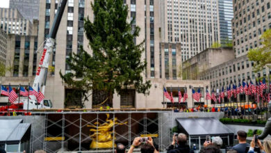 Photo of Llega a NY, el árbol de Navidad para el Rockefeller Center