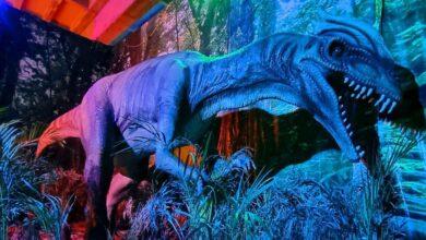 Photo of Expo Dinosaurios llega a Tizimín, Valladolid y Mérida