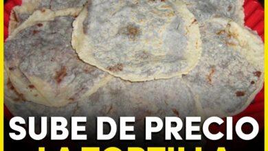 Photo of Sube el precio la tortilla para panuchos en Yucatán
