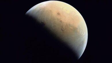 Photo of Marte registró un megatsunami como el de Chicxulub en la Tierra