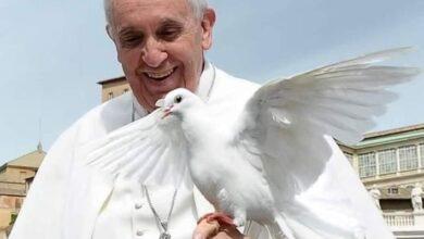 Photo of Papa Francisco firma su renuncia