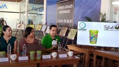 Photo of Cafetería lanzan vaso conmemorativo para el rescate del loro yucateco