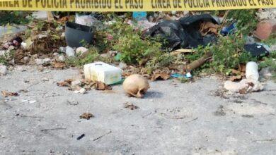 Photo of Encuentran cráneo humano en el centro de Mérida 