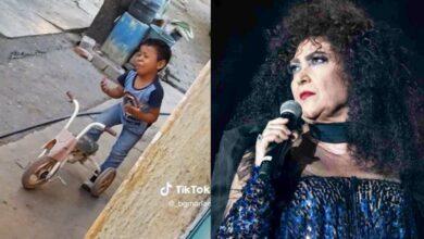 Photo of ¡De piedra! Niño canta «Castillos» de Amanda Miguel a todo pulmón y se viraliza