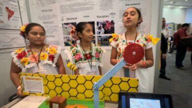 Photo of Con ayuda de las matemáticas, niñas de Yucatán crean prototipo para explicar “danza de las abejas”