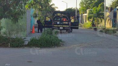 Photo of Encuentran granadas en terreno de Progreso