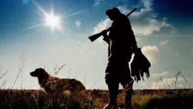 Photo of Perro mató por accidente a su dueño; disparó un rifle tras pisarlo