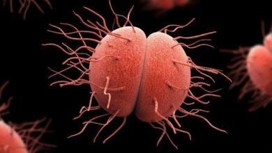 Photo of Detectan cepa de gonorrea que resiste antibióticos