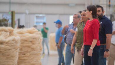 Photo of Expertos de India capacitarán a yucatecos en manejo de henequén 