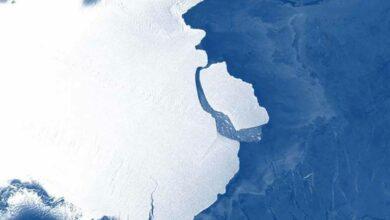 Photo of Iceberg de mil 500 km se desprende de la Antártida