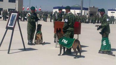 Photo of Restos de “Proteo” ya están en México; realizan homenaje
