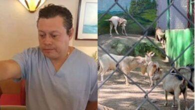 Photo of Exdirector de zoológico en México vendió y cocinó animales