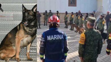 Photo of Despiden con honores y pase de lista a “Proteo”. VIDEO