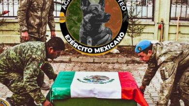 Photo of Restos de “Proteo” serán repatriados a México