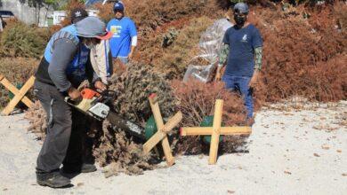 Photo of Renán Barrera fortalece la infraestructura verde 
