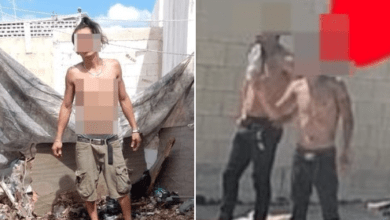 Photo of Investigan a dueño de pitbulls, tendría antecedentes 