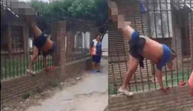 Photo of Entra a robar a una casa y se atora en la reja. VIDEO