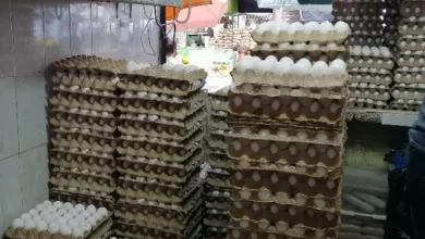 Photo of Rejilla de huevo llega a los 130 pesos