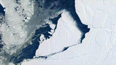 Photo of Alerta en la Antártida por los niveles históricos registrados