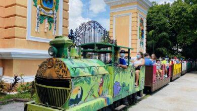 Photo of Trenecito del “Centenario” en mantenimiento; no se “jubilará” 