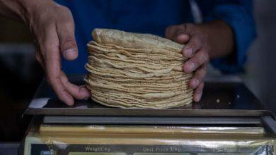 Photo of Hasta 30 pesos llegaría el kilo de tortilla en Mérida