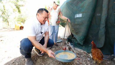 Photo of Renán Barrera fortalece la economía de las familias
