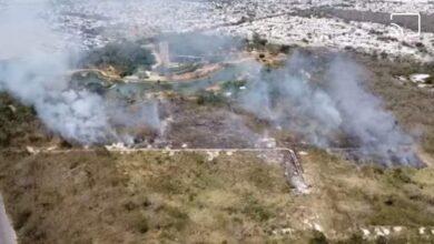 Photo of Animales y visitantes sin afectaciones por incendio cerca de Animaya 