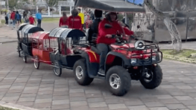 Photo of Construye “trenecito” para perritos 