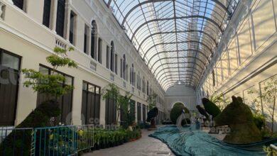 Photo of Hoy se inaugura “Camino de Flores Mérida 2023: Biophilium”