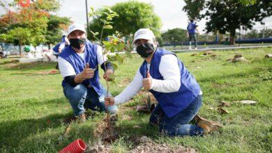 Photo of Mérida recibe el distintivo internacional Tree Cities of the World 2022 