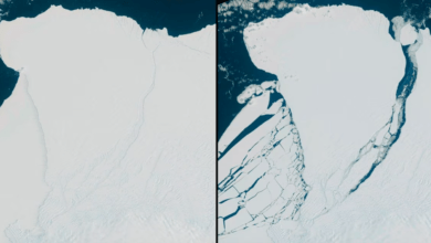 Photo of A81, el iceberg del tamaño de Londres que se desprendió 