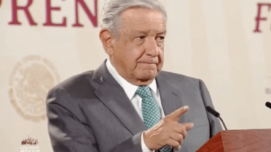 Photo of Gobierno de Yucatán y Federal trabajan en caso de granjas porcícolas