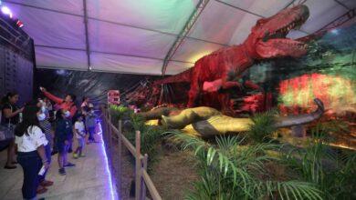 Photo of La Expo Dinosaurios abre sus puertas en Mérida 