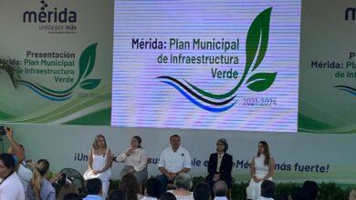 Photo of Por una Mérida biodiversa, sustentable y resiliente: Renán Barrera