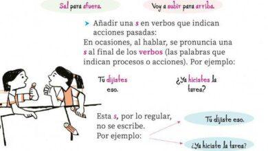 Photo of “Dijistes” e “Hicistes” aparecen en nuevos libros de la SEP 