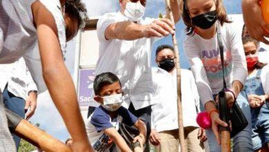 Photo of Renán Barrera combate el cambio climático