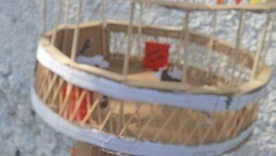 Photo of “Sombrero loco” con temática de corrida tradicional de Yucatán 