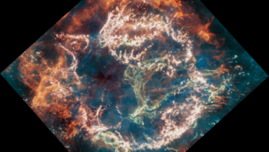 Photo of El James Webb capta “monstruo verde” en supernova
