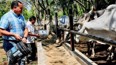 Photo of Renán Barrera brinda más apoyos a los productores