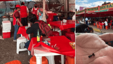 Photo of Muerde su taco y termina sin diente; tenía un clavo dentro 