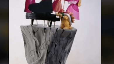 Photo of Yucateco crea “sombrero loco” de la canción de “Peaches”. VIDEO